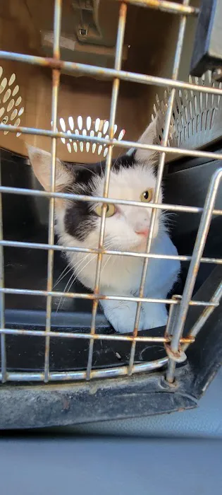 Bennettsville Animal Hospital 4