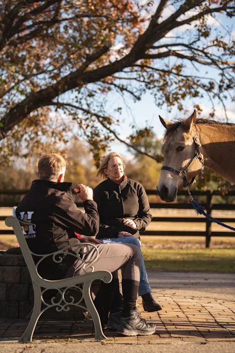 Hassinger Equine Sports Medicine & Rehabilitation 4
