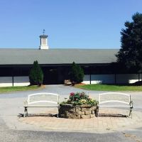 Hassinger Equine Sports Medicine & Rehabilitation ico