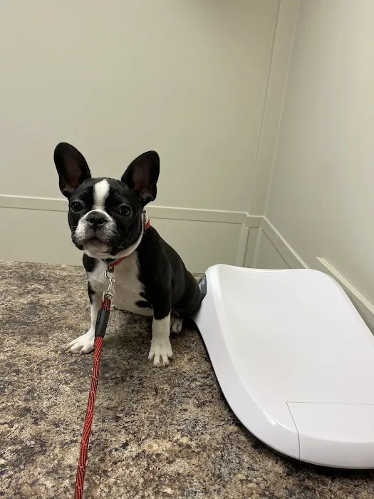 Cooley Veterinary Hospital 2