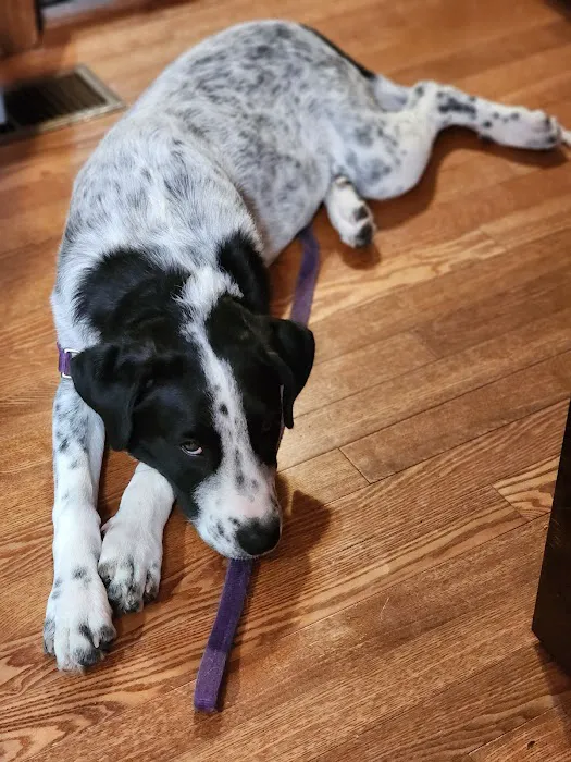 Cooley Veterinary Hospital 7