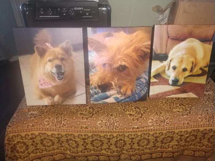 Cooley Veterinary Hospital 4
