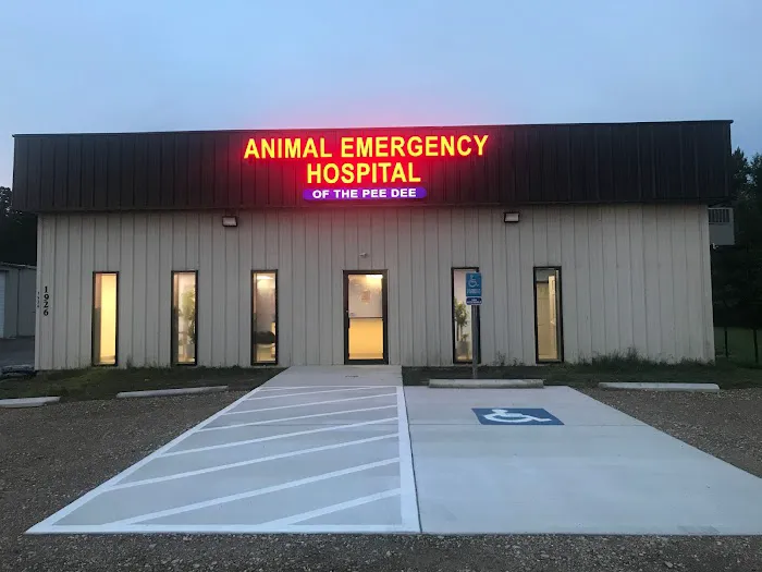 Animal Emergency Hospital of the Pee Dee 5