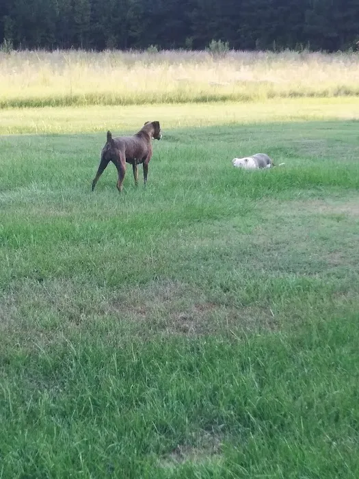 Animal Emergency Hospital of the Pee Dee 2