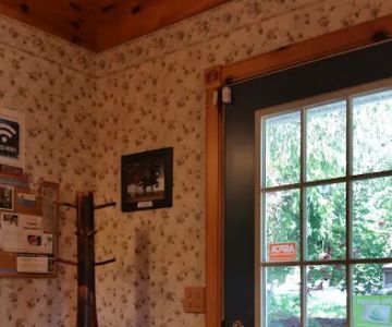 At Home Veterinary Care