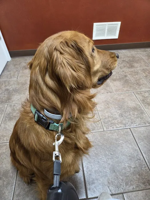 Clarion Animal Hospital 3