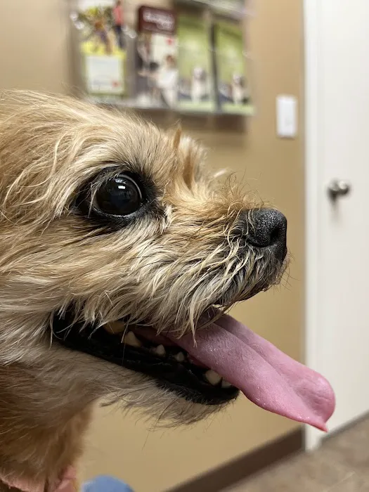 Clarion Animal Hospital 5