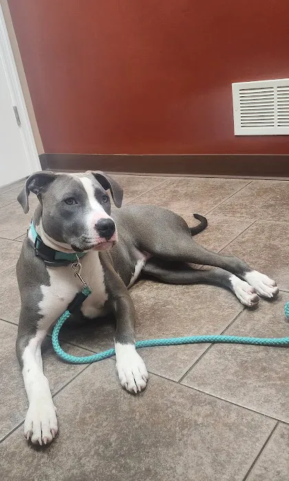 Clarion Animal Hospital 7