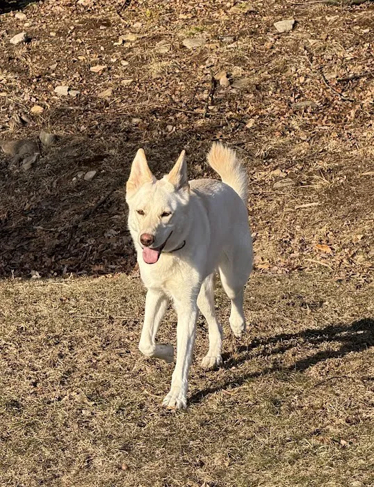 Clarion Animal Hospital 9