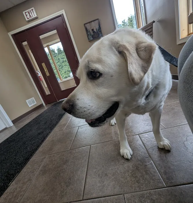 Clarion Animal Hospital 6