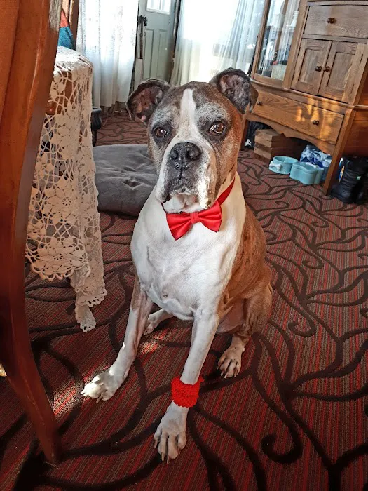 Brookville Veterinary Hospital 6