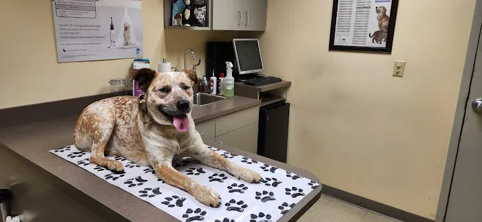 Brookville Veterinary Hospital 2