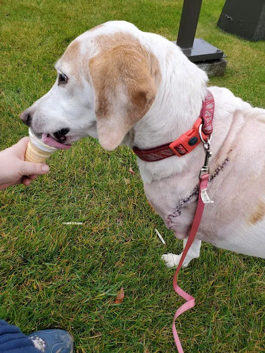 Brookville Veterinary Hospital 4