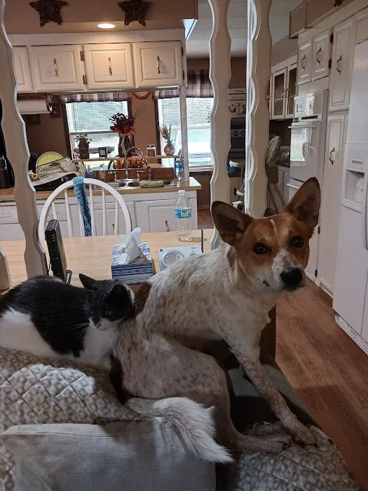 Brookville Veterinary Hospital 1