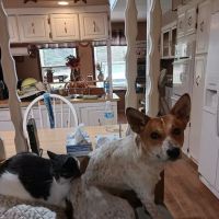 Brookville Veterinary Hospital ico