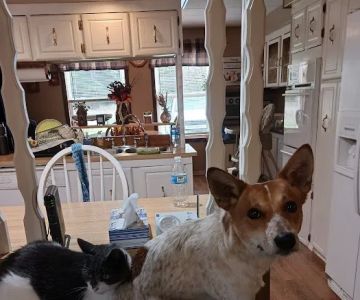 Brookville Veterinary Hospital