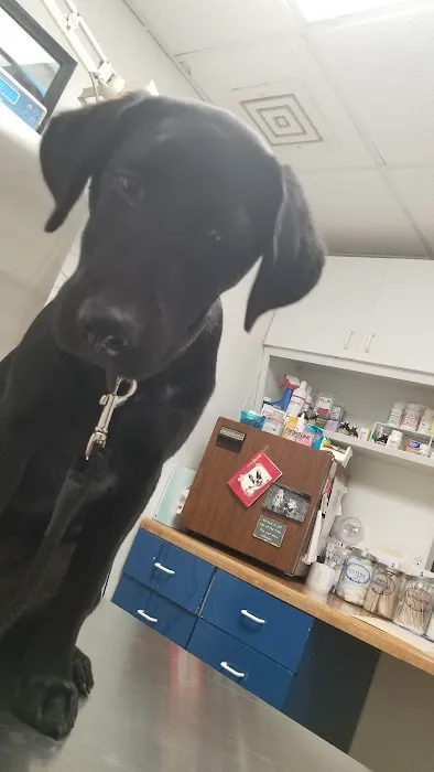 William E Wise Veterinary Clinic 4