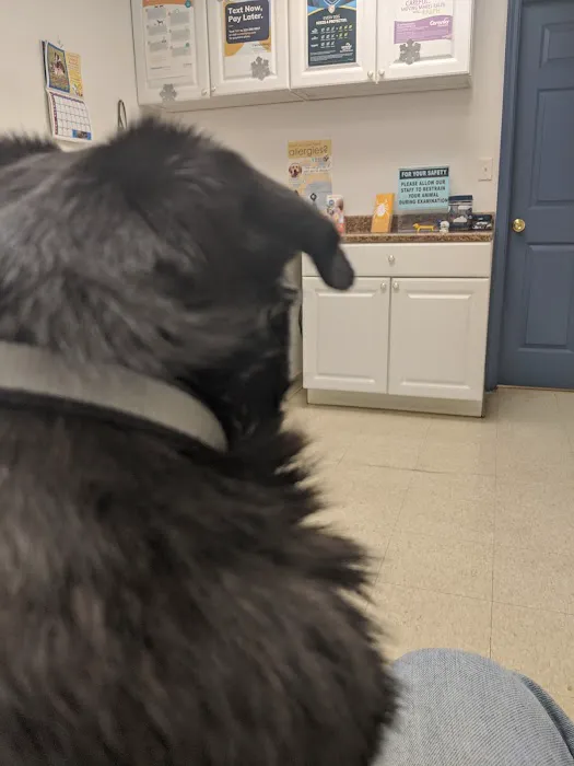 Animal Health Services 3