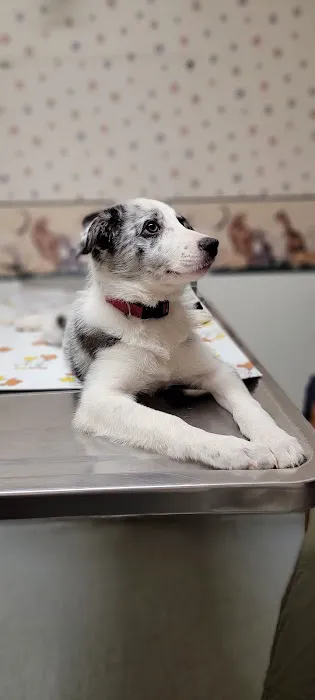 DuBois Veterinary Clinic 1
