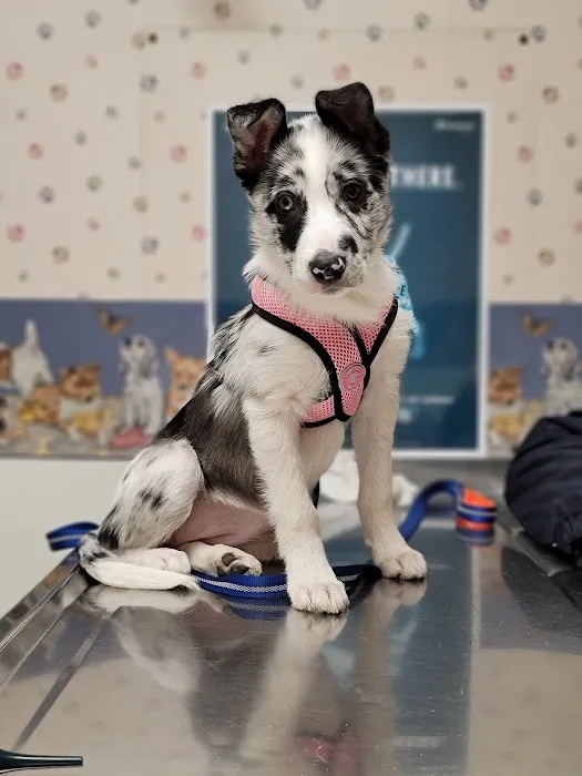 DuBois Veterinary Clinic 8