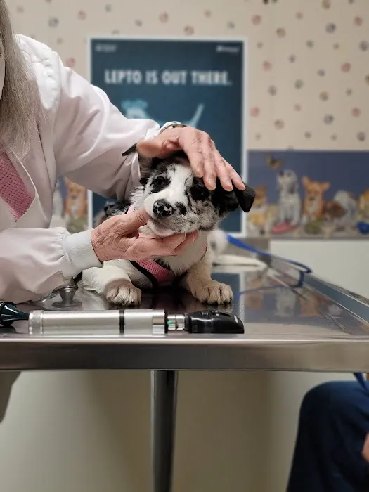 DuBois Veterinary Clinic 6
