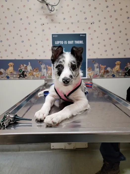 DuBois Veterinary Clinic 2