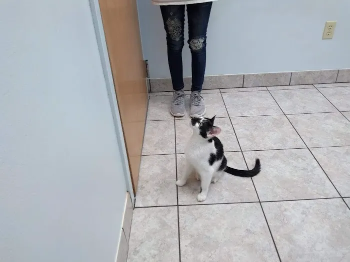 State Street Animal Hospital: Wollney Gwen DVM 1