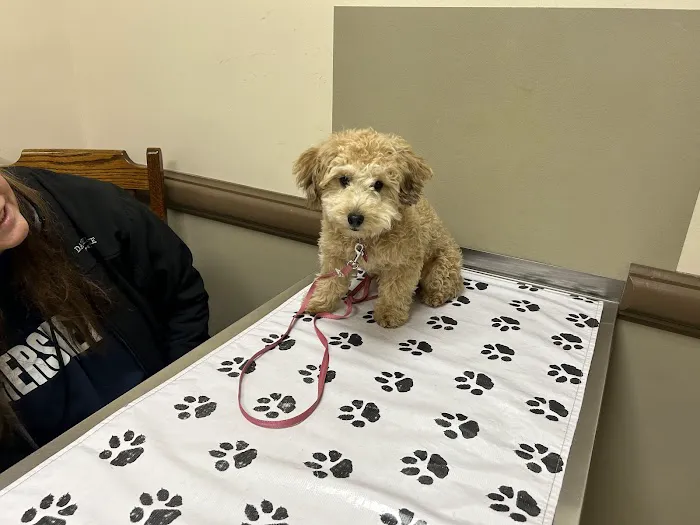 Perry Veterinary Clinic- Batavia Office 1