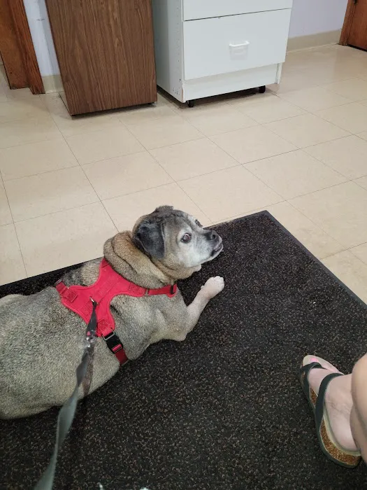 Pumpkin Hill Veterinary Clinic 3