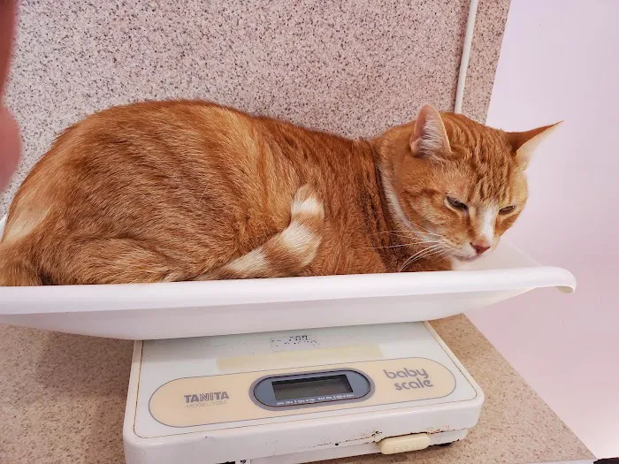 Pumpkin Hill Veterinary Clinic 10