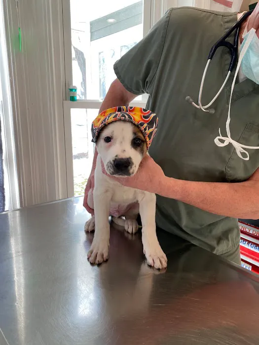 Churchville Veterinary Hospital, P.C. 6