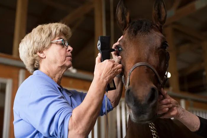 Genesee Valley Equine Clinic 8