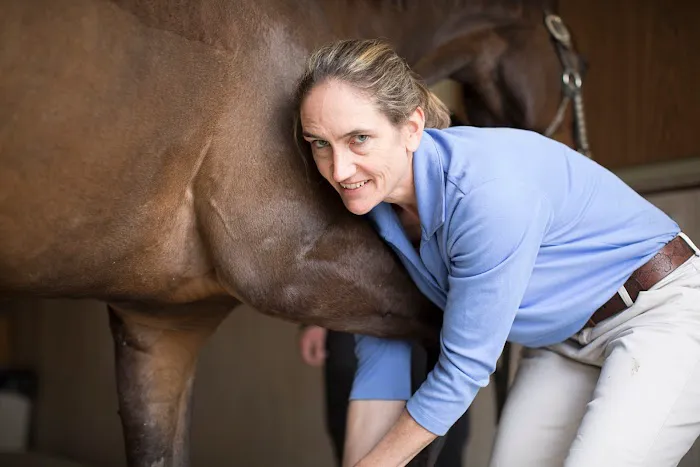 Genesee Valley Equine Clinic 5