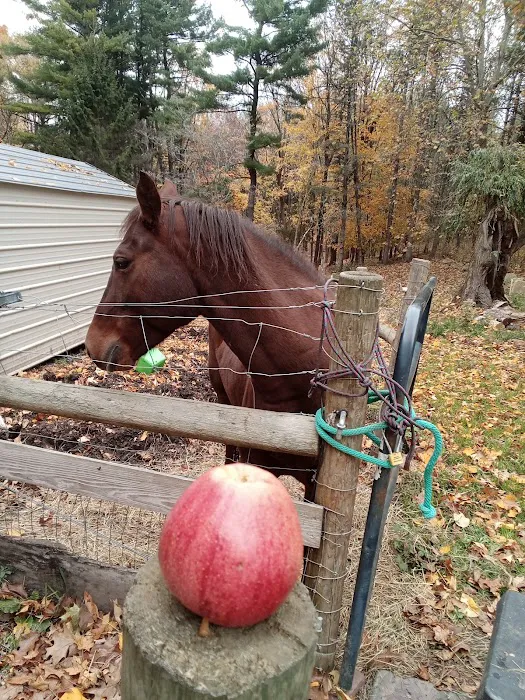 Genesee Valley Equine Clinic 2