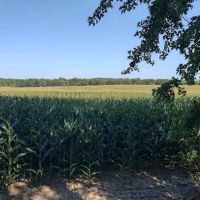 Genesee Valley Equine Clinic ico