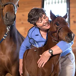 Genesee Valley Equine Clinic 3