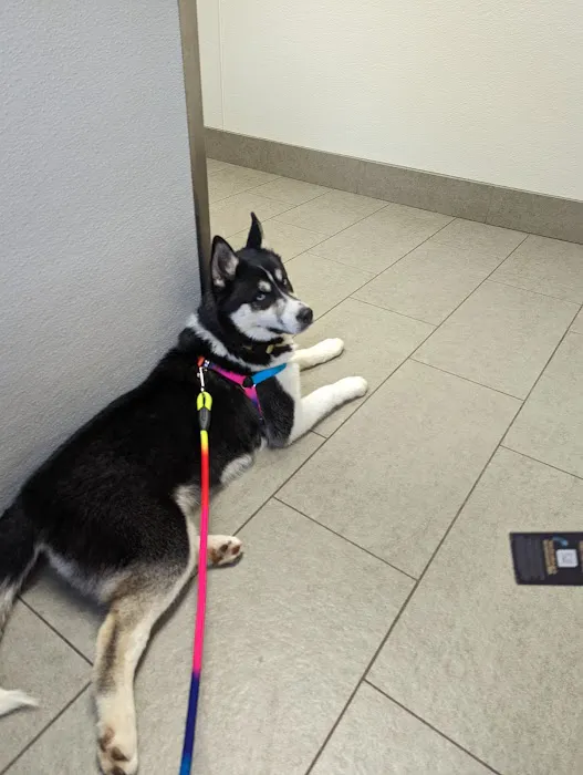 Bennington Veterinary Clinic 7