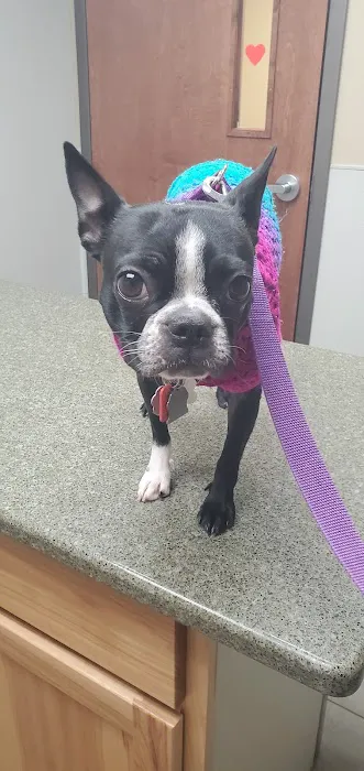 Bennington Veterinary Clinic 10