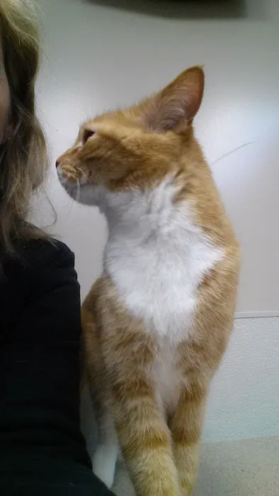 Bennington Veterinary Clinic 8