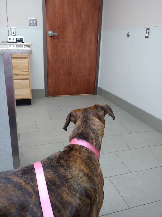 Bennington Veterinary Clinic 4