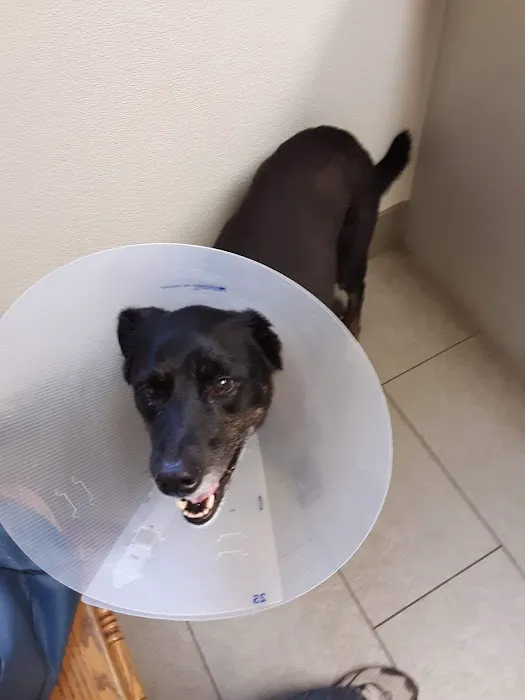 Bennington Veterinary Clinic 1