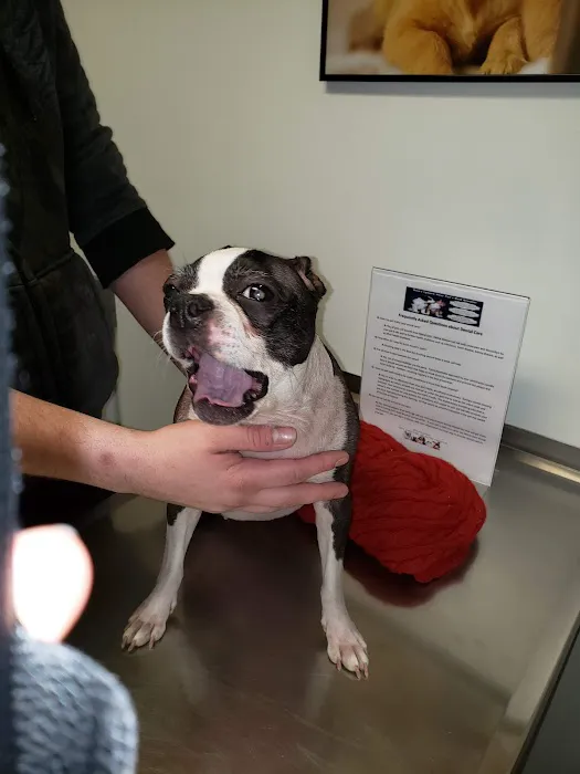 Corfu Veterinary Clinic 3