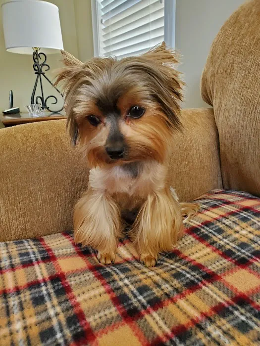 Country Village Pet Care Hospital 1