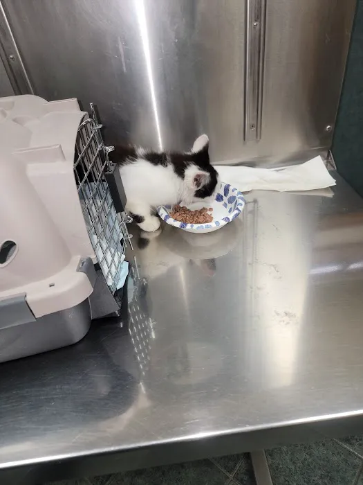 Country Village Pet Care Hospital 10