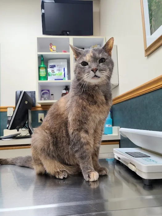 Country Village Pet Care Hospital 6
