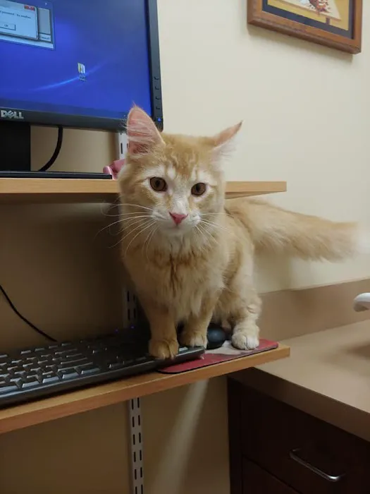 Akron Animal Hospital 8