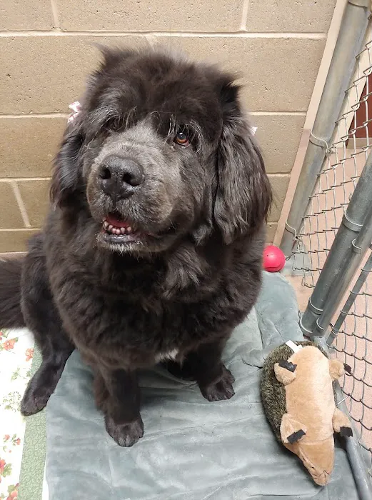 Akron Animal Hospital 7