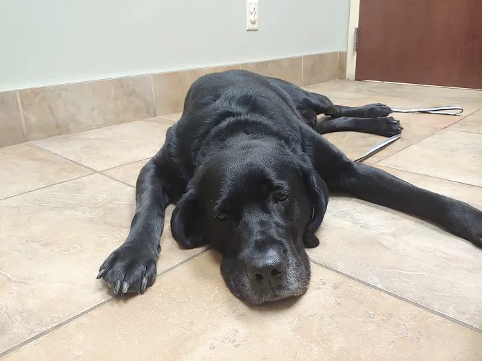 Akron Animal Hospital 6