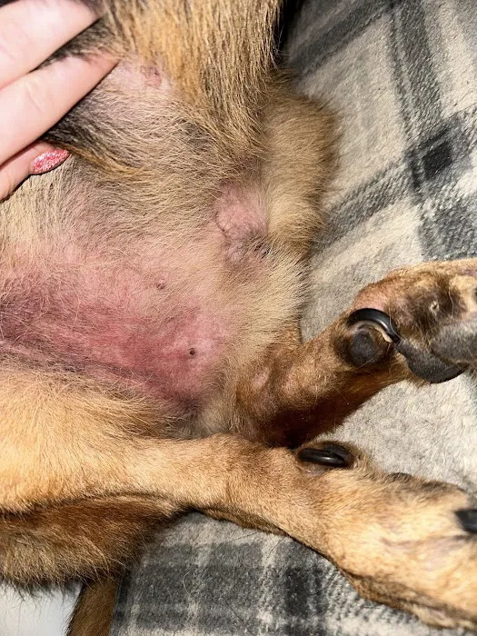 Rio Vista Veterinary Hospital 3