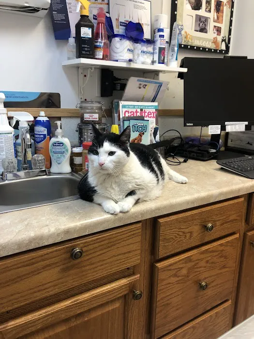 Kenmore Animal Hospital 8
